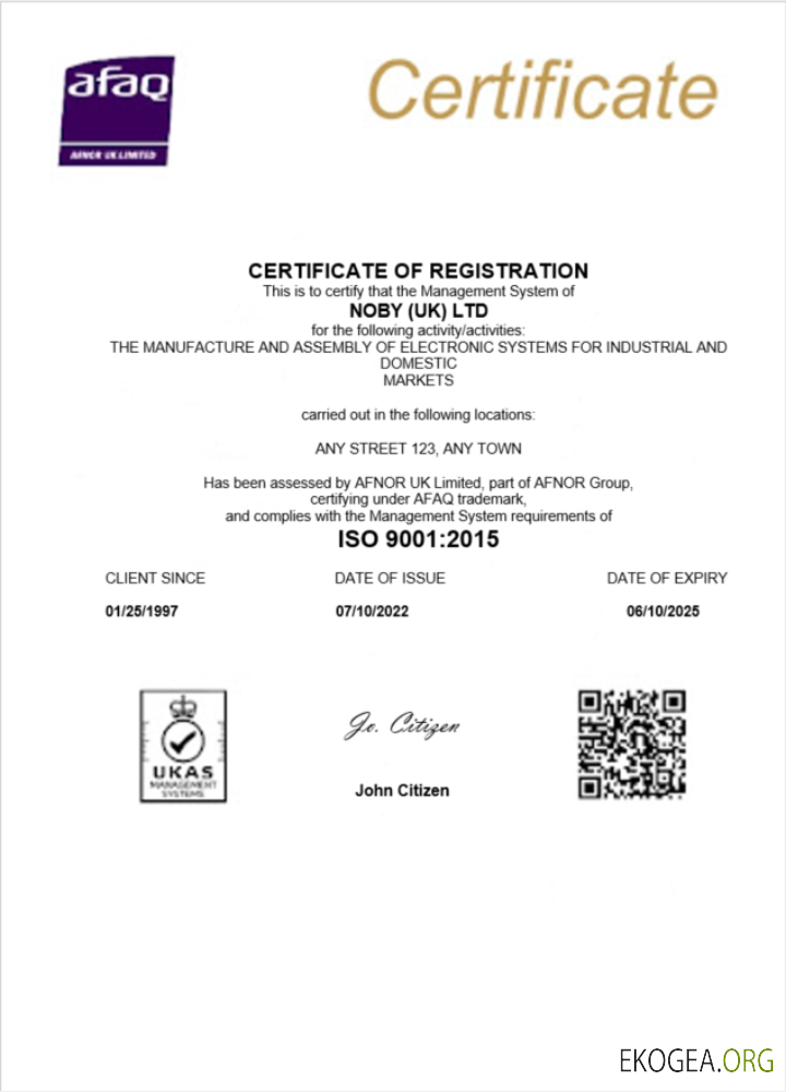 Modèle Word et PDF de certificat d'enregistrement d'entreprise de UK Noby Ltd
